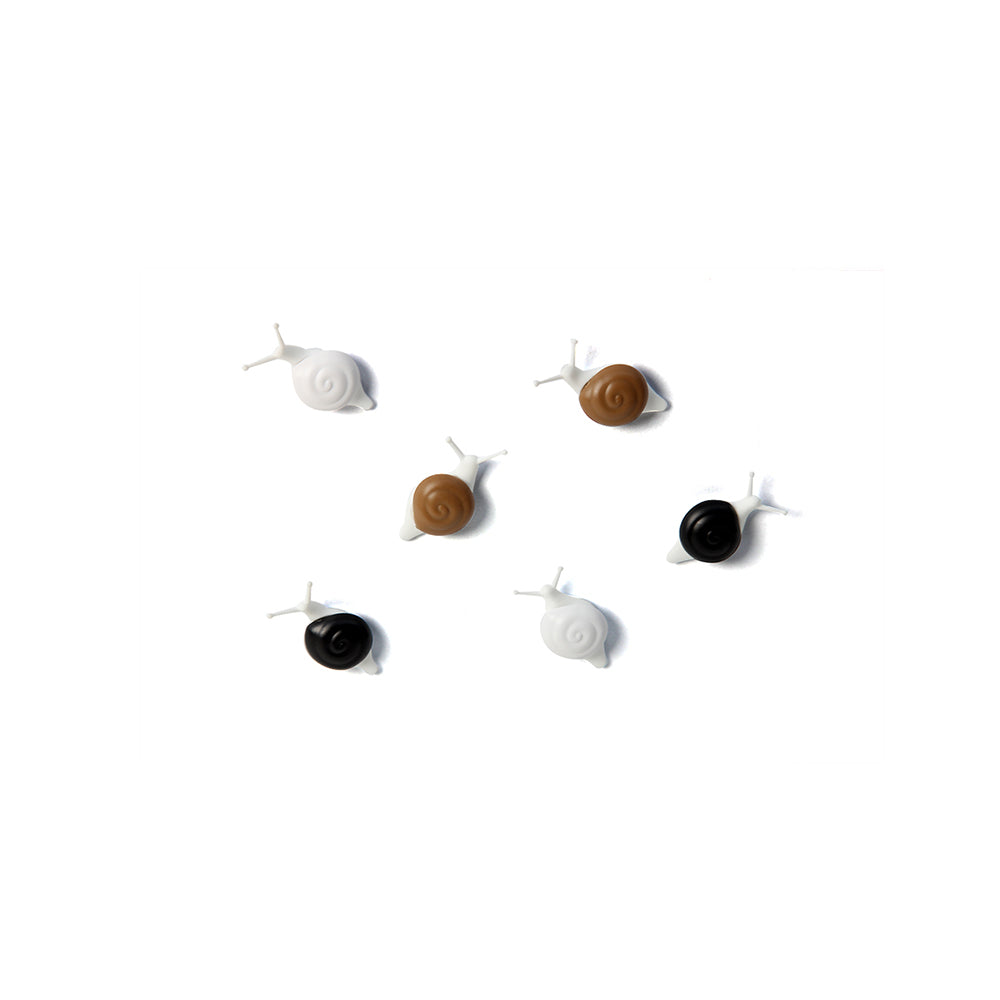 Snail Magnet Set