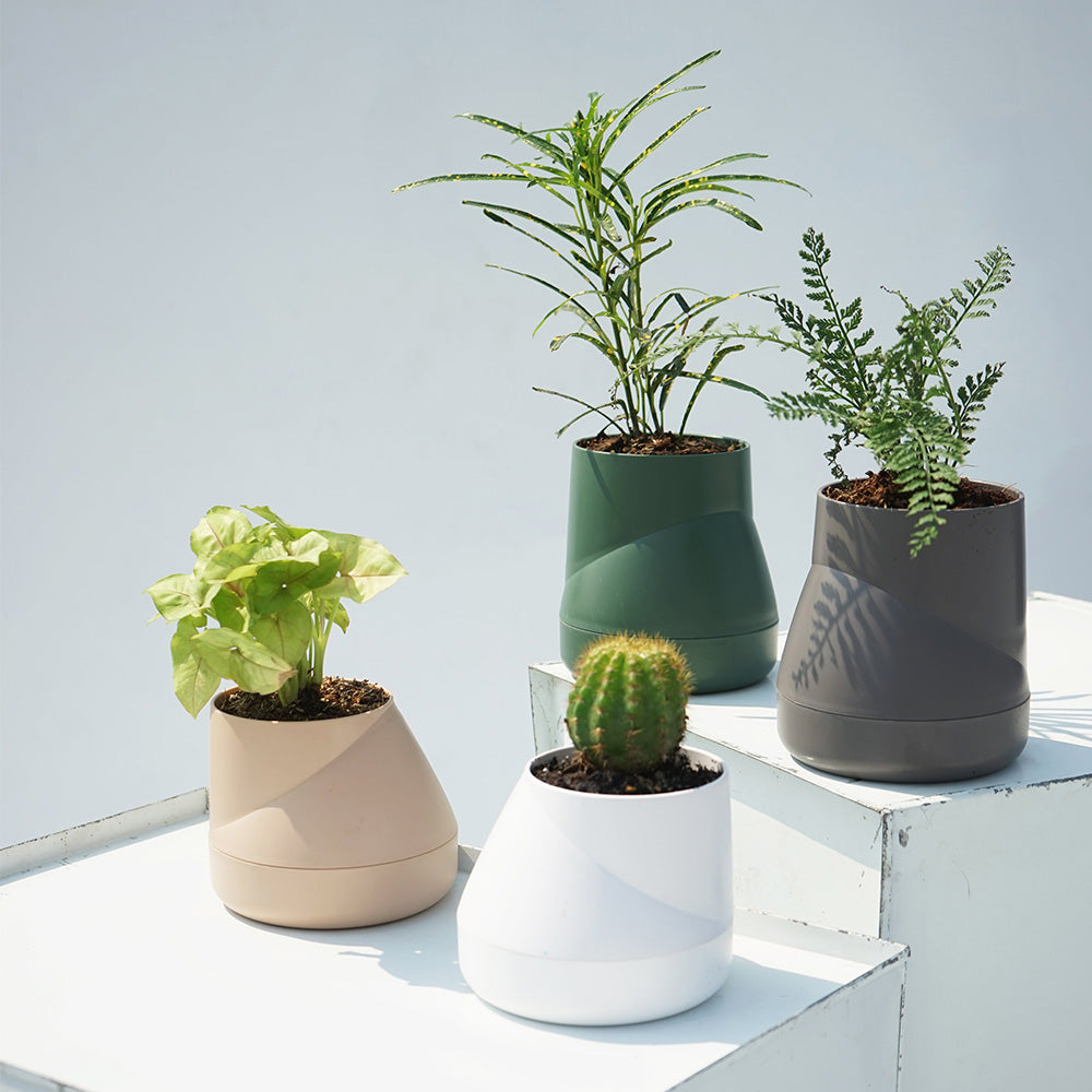 Large Hill Pot