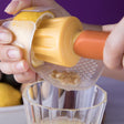 Juice & Strain - Lemon Reamer with Seed Strainer