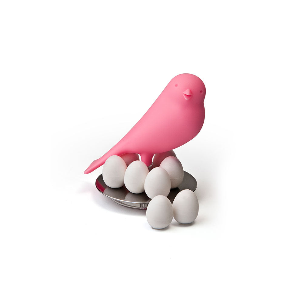 Sparrow Egg Magnets