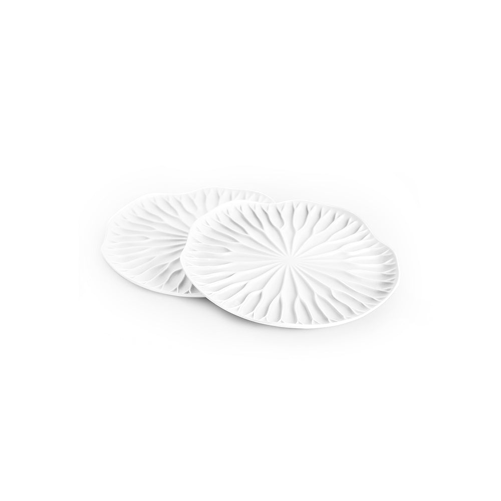 Baibua Coasters