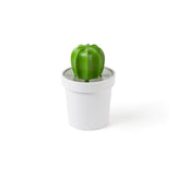 Cacnister Coffee/Tea Canister and Spoon