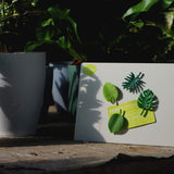 Tropical Magnet Set