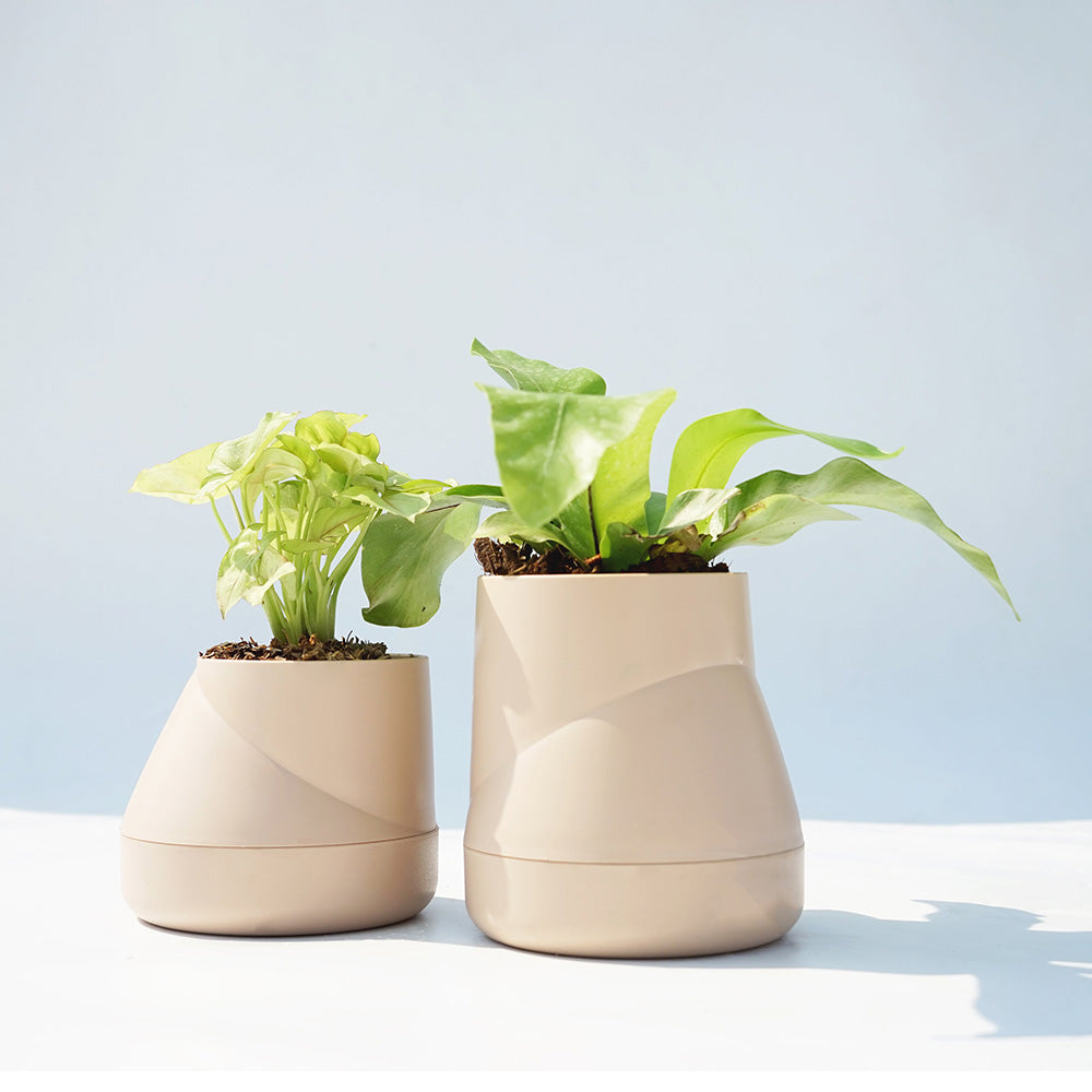 Large Hill Pot