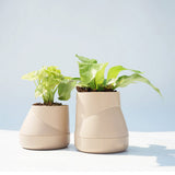 Large Hill Pot