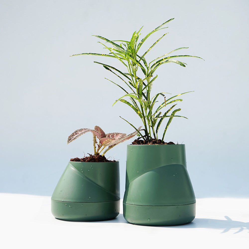 Large Hill Pot