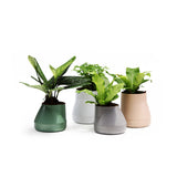 Small Hill Pot