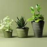 Strata Pot Self-Watering Plant Pot