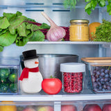 Freezy Fridge Deodoriser