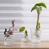 Leafriend - Plant Propagation Buddy