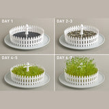 Seed Field - Seed Sprouter